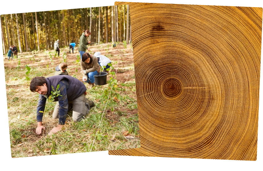 Udržitelnost: pro současnost a budoucnost
